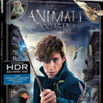 Fantastic Beasts and Where to Find Them (Фантастични животни) 4K Ultra HD Blu-Ray + Blu-Ray