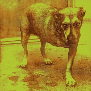Alice In Chains – Alice in Chains Аудио CD
