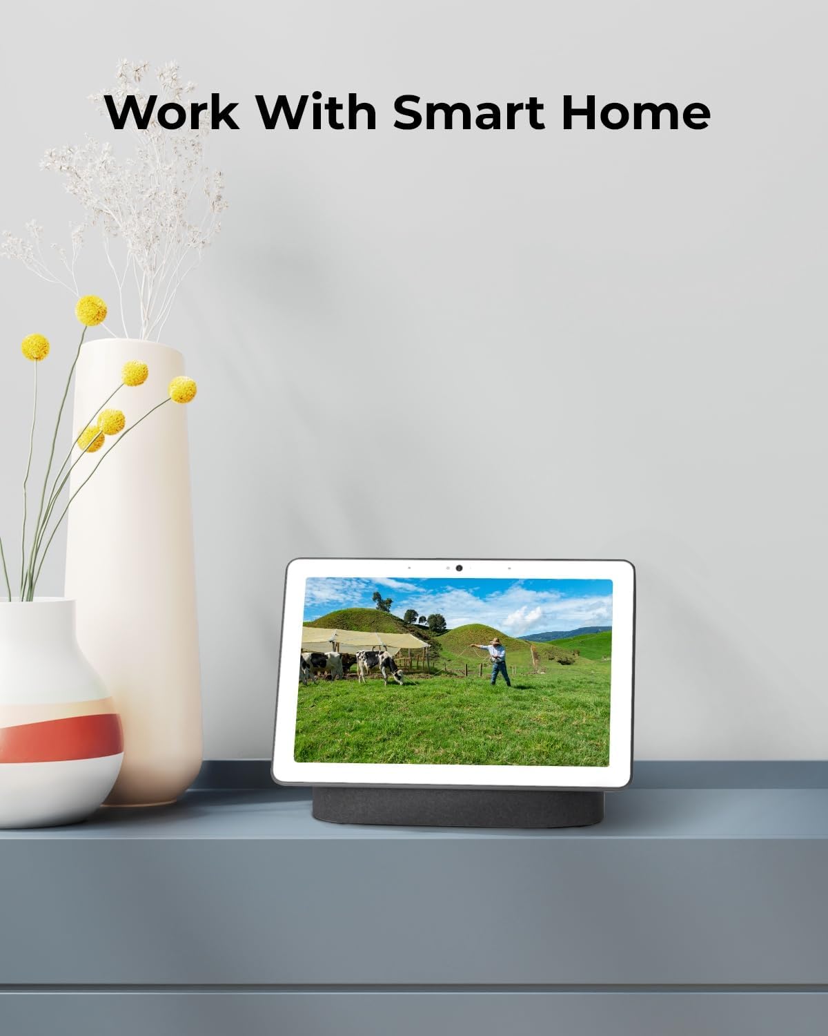 4G Камера за наблюдение Reolink Go PT Plus 360° 3G-4G LTE Surveillance Camera 5MP White - Image 7